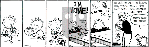Calvin and Hobbes - Friday November 9, 1990 Comic Strip