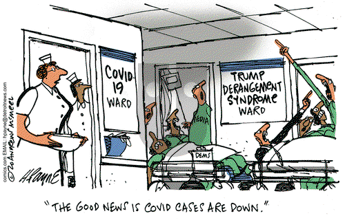Henry Payne on Friday June 5, 2020 Comic Strip
