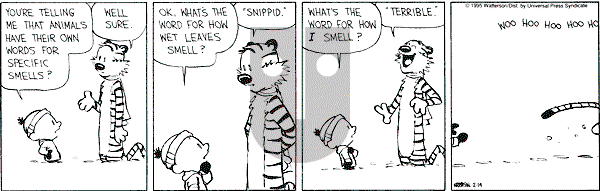 Calvin and Hobbes - Tuesday February 14, 1995 Comic Strip