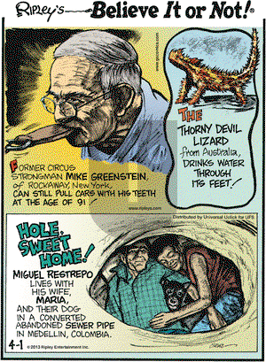 Ripley's Believe It or Not on Monday April 1, 2013 Comic Strip