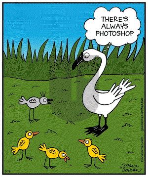 Half Full on Thursday March 19, 2015 Comic Strip