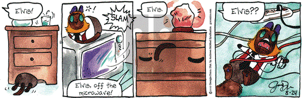 Breaking Cat News on Saturday August 24, 2019 Comic Strip