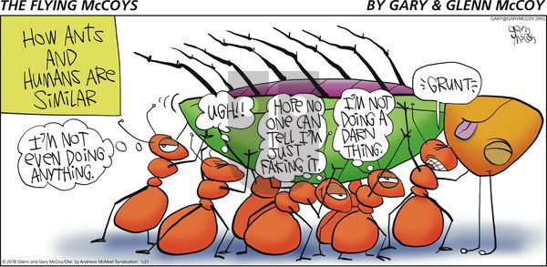 The Flying McCoys on Sunday January 21, 2018 Comic Strip