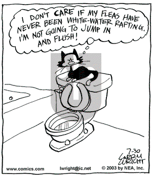 Kit 'N' Carlyle on Wednesday July 30, 2003 Comic Strip