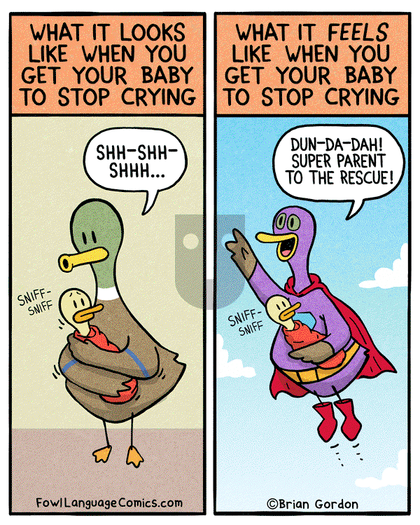 Fowl Language on Friday February 24, 2017 Comic Strip