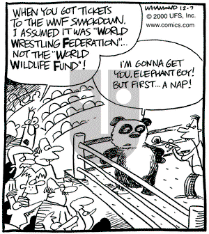 Reality Check on Friday December 29, 2000 Comic Strip