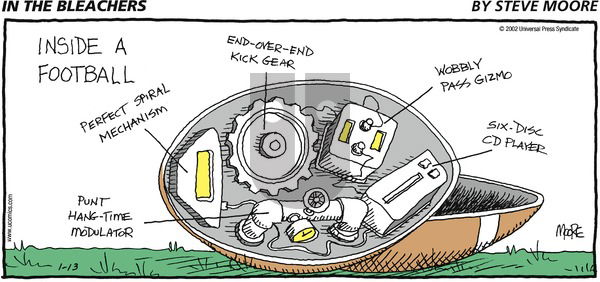 In the Bleachers on Sunday January 13, 2002 Comic Strip