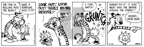 Calvin and Hobbes on Friday May 26, 1989 Comic Strip