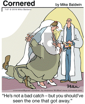 Cornered on Saturday July 27, 2019 Comic Strip