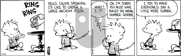 Calvin and Hobbes - Saturday November 9, 1991 Comic Strip