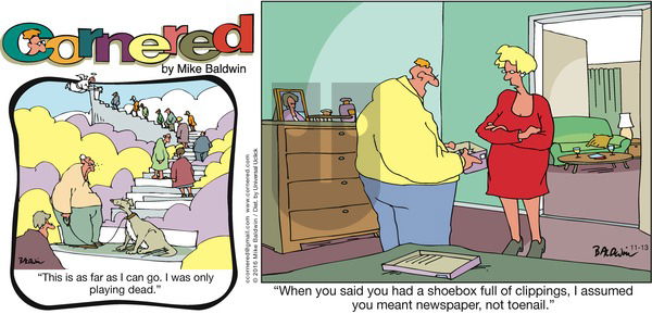 Cornered on Sunday November 13, 2016 Comic Strip