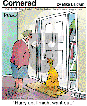 Cornered on Thursday October 21, 2021 Comic Strip