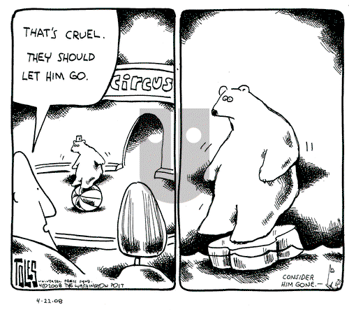 Tom Toles on Tuesday April 22, 2008 Comic Strip