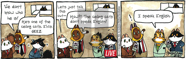 Breaking Cat News on Tuesday March 20, 2018 Comic Strip