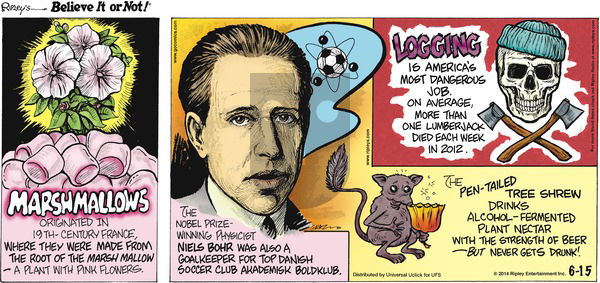 Ripley's Believe It or Not on Sunday June 15, 2014 Comic Strip