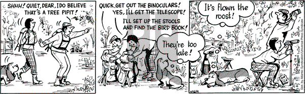 Fred Basset on Wednesday November 12, 2008 Comic Strip