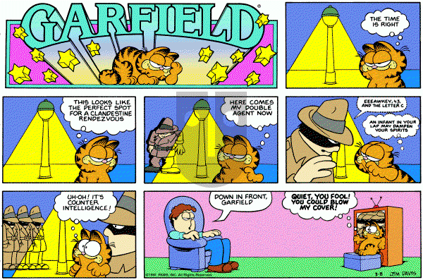 Garfield on Sunday August 8, 1982 Comic Strip