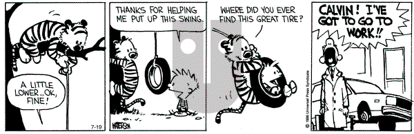 Calvin and Hobbes on Friday July 19, 1991 Comic Strip