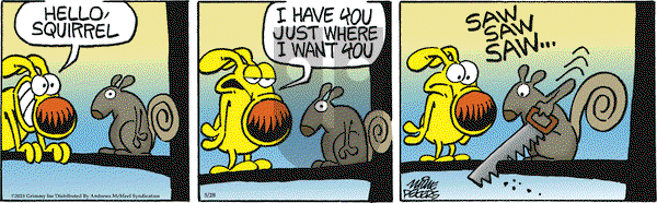 Mother Goose and Grimm on Wednesday May 28, 2025 Comic Strip