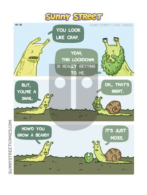 Sunny Street on Tuesday November 24, 2020 Comic Strip