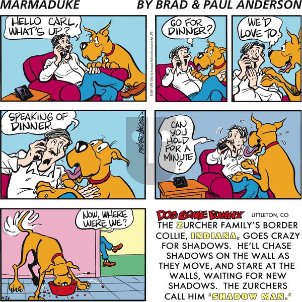 Marmaduke on Sunday November 26, 2017 Comic Strip
