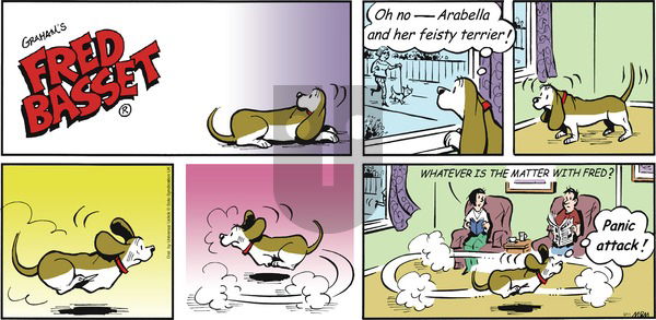 Fred Basset on Sunday September 11, 2016 Comic Strip