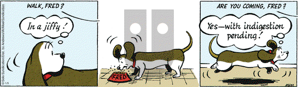Fred Basset on Tuesday January 5, 2021 Comic Strip