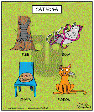 Half Full - Saturday January 17, 2015 Comic Strip