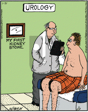 Close to Home on Friday January 31, 2025 Comic Strip