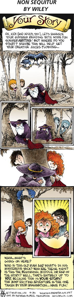 Non Sequitur on Sunday July 30, 2017 Comic Strip