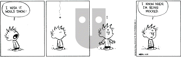 Calvin and Hobbes - Saturday November 25, 1995 Comic Strip