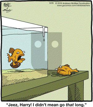 In the Bleachers on Wednesday September 26, 2018 Comic Strip