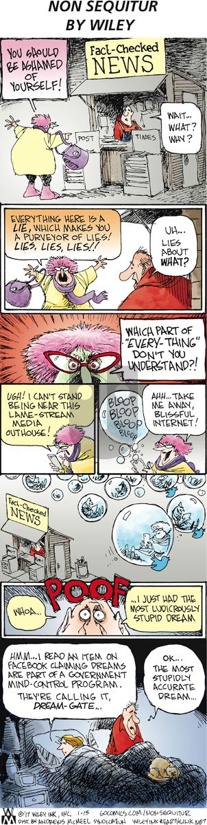 Non Sequitur on Sunday January 15, 2017 Comic Strip