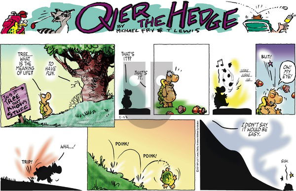 Over the Hedge on Sunday May 23, 2021 Comic Strip