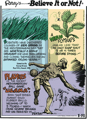 Ripley's Believe It or Not on Thursday August 30, 2012 Comic Strip