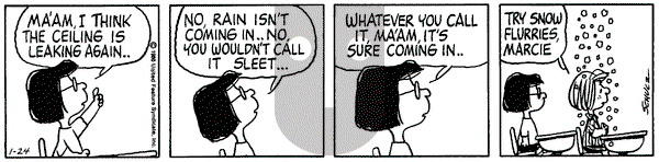 Peanuts on Thursday January 24, 1980 Comic Strip