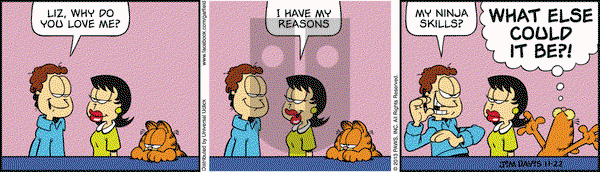 Garfield on Friday November 22, 2013 Comic Strip