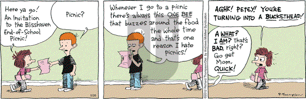 Cul de Sac on Friday May 26, 2017 Comic Strip