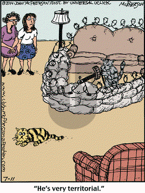 Close to Home on Friday July 11, 2014 Comic Strip