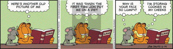 Garfield on Wednesday June 14, 2017 Comic Strip