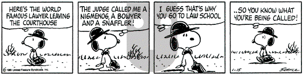 Peanuts on Thursday January 15, 1981 Comic Strip