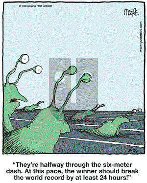 In the Bleachers on Tuesday August 26, 2008 Comic Strip