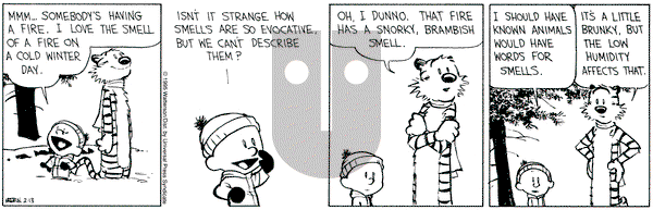 Calvin and Hobbes on Monday February 13, 1995 Comic Strip