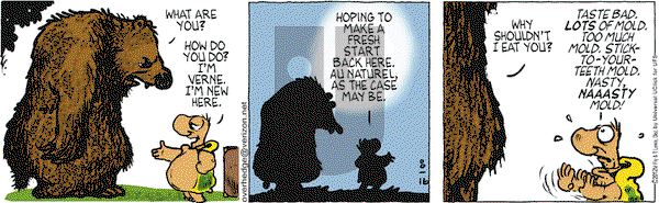 Over the Hedge on Thursday August 16, 2012 Comic Strip
