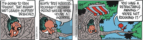 Rose is Rose on Thursday August 27, 2020 Comic Strip