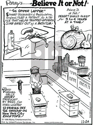 Ripley's Believe It or Not on Tuesday November 24, 1998 Comic Strip