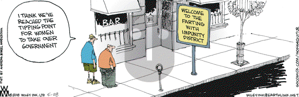 Non Sequitur on Monday May 28, 2018 Comic Strip