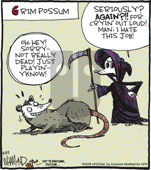 Reality Check on Wednesday May 29, 2019 Comic Strip