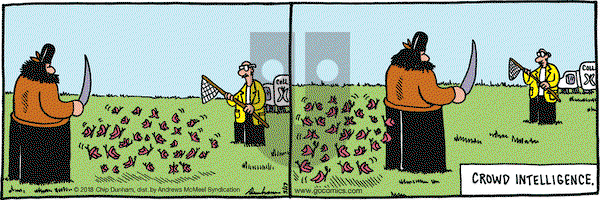 Overboard on Thursday May 17, 2018 Comic Strip