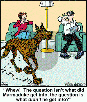 Marmaduke - Saturday June 11, 2022 Comic Strip
